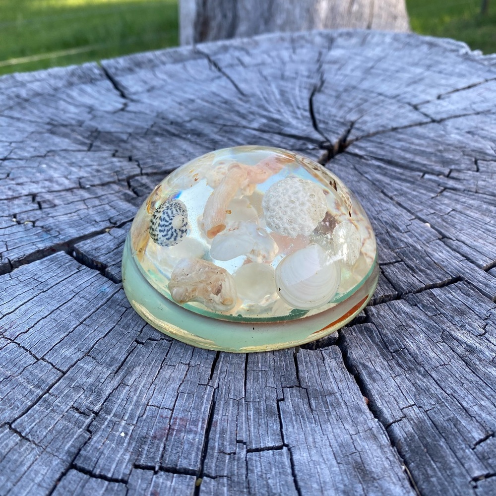 Vintage Resin Shell Paperweight